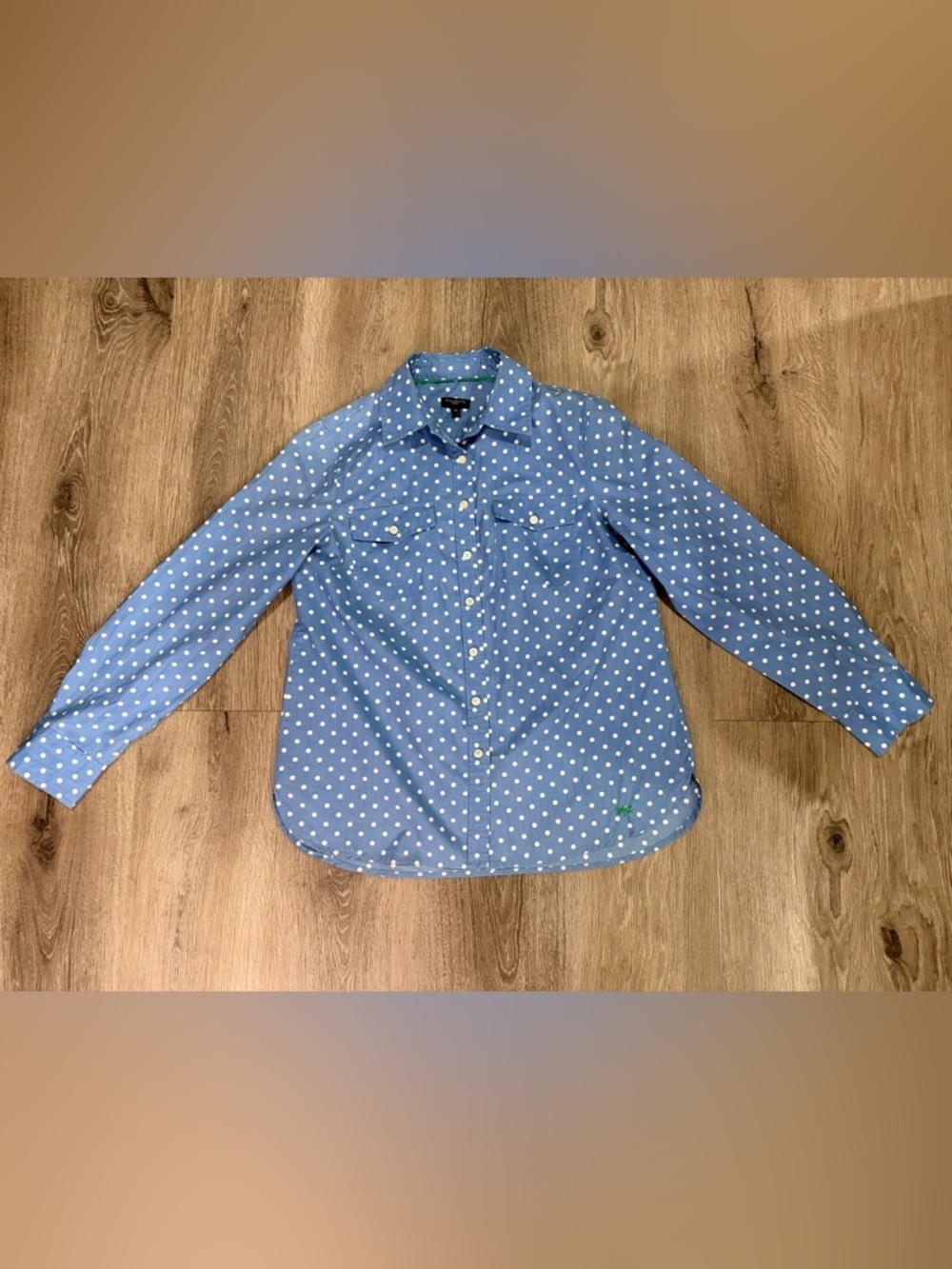 Talbots Blue Polka Dot Button-Up Shirt